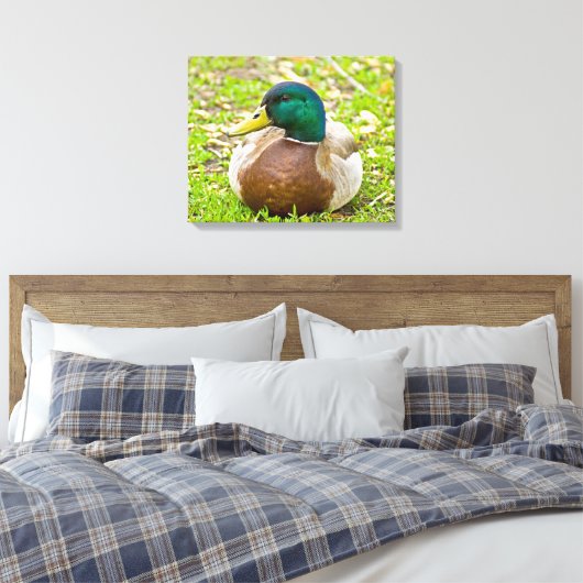 Mallard the Duck Canvas Afdruk (Insitu (Slaapkamer))