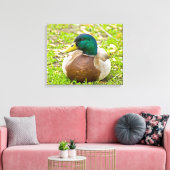 Mallard the Duck Canvas Afdruk (Insitu (Woonkamer))