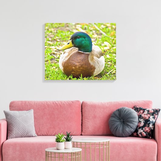 Mallard the Duck Canvas Afdruk (Insitu (Woonkamer))