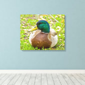 Mallard the Duck Canvas Afdruk (Insitu (Houten vloer))