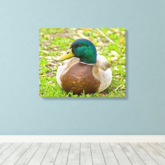 Mallard the Duck Canvas Afdruk (Insitu (Houten vloer))
