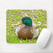 Mallard the Duck Muismat (Met muis)
