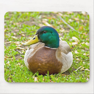 Mallard the Duck Muismat