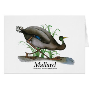 mallard, tonifernandes