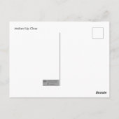 Mallard Up Close Briefkaart (Achterkant)