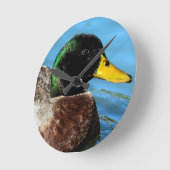 Mallard Up Close Ronde Klok (Hoek)