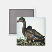 Mallard-Vrouw Magneet (Voorkant / Achterkant)