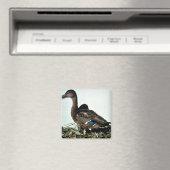 Mallard-Vrouw Magneet (Insitu (Vaatwasser))