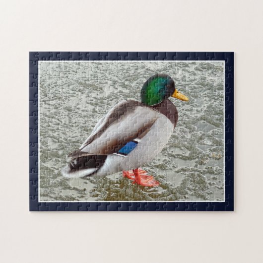 Mallard Wild Duck On Frozen Lake Legpuzzel (Horizontaal)