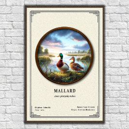Mallard Zoology Series Poster