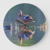 Mallardeeend bij zonsondergang grote klok (Voorkant)