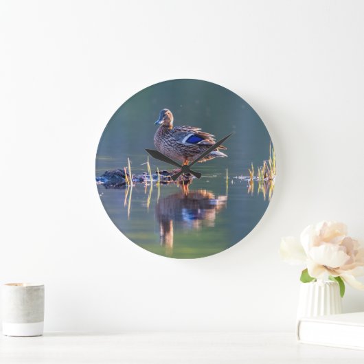 Mallardeeend bij zonsondergang grote klok (Huis)