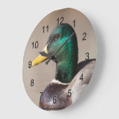 Mallardeeend Grote Klok (Hoek)