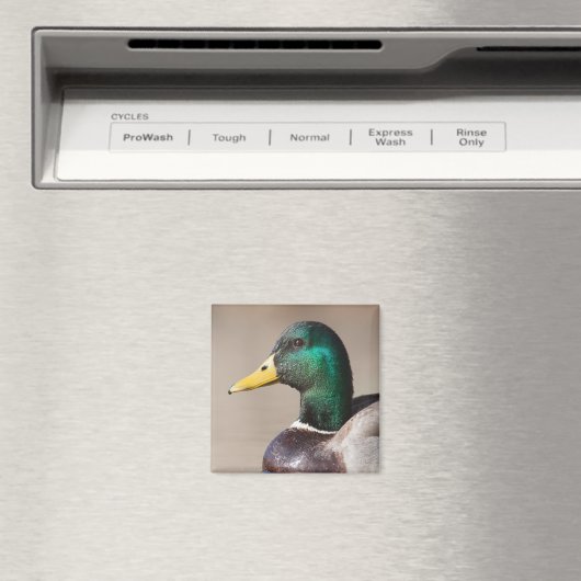 Mallardeeend Magneet (Insitu (Vaatwasser))