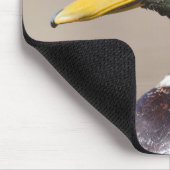 Mallardeeend Muismat (Hoek)