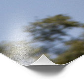 Mallardeeend tijdens de vlucht foto afdruk (Hoek)