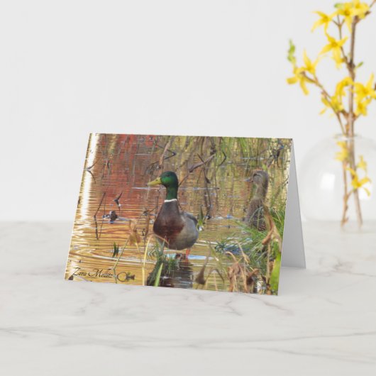 Mallardeeenden op de vijver kaart (Gele Bloem)