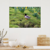 Mallardeenden aan de oever van een rivier poster (Keuken)
