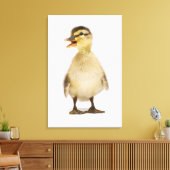 Mallardeenden (Anas platyrhynchos) Canvas Afdruk (Insitu (Woonkamer))