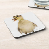 Mallardeenden (Anas platyrhynchos) Drankjes Onderzetter (Linkerzijde)