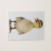 Mallardeenden (Anas platyrhynchos) Legpuzzel (Horizontaal)