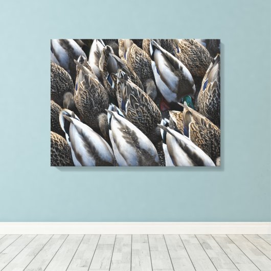 Mallardeenden Canvas Afdruk (Insitu (Houten vloer))