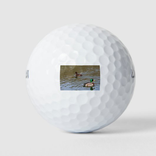 Mallardeenden en tufted eenden op een rivier golfballen (Voorkant)