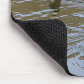 Mallardeenden en tufted eenden op een rivier muismat (Hoek)