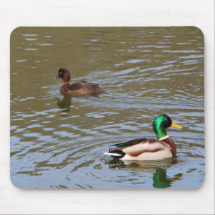 Mallardeenden en tufted eenden op een rivier muismat