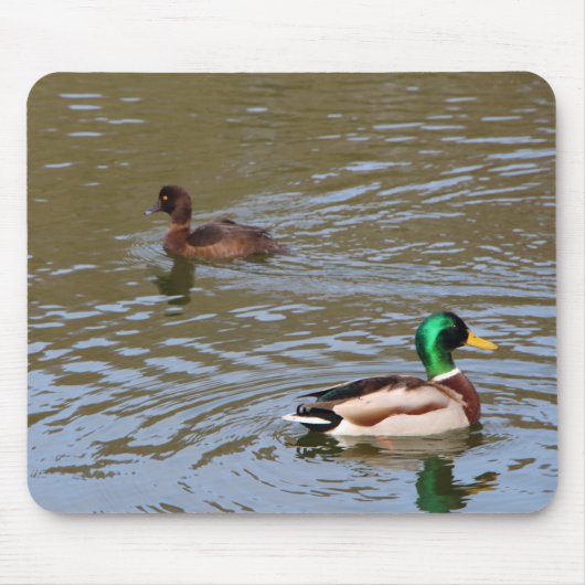 Mallardeenden en tufted eenden op een rivier muismat (Voorkant)