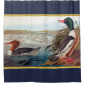 Mallardeenden in een rivier die zwemmen met blauw  douchegordijn (Voorkant)