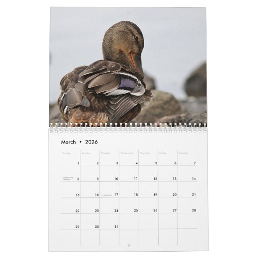 Mallardeenden Kalender (Mar 2026)