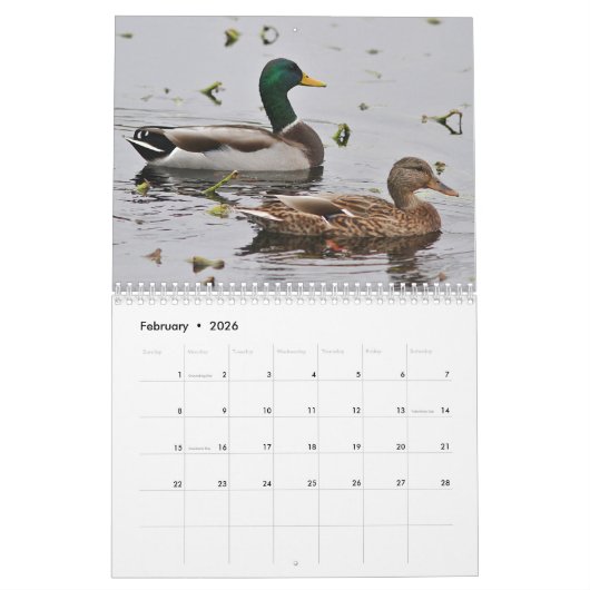 Mallardeenden Kalender (Feb 2026)