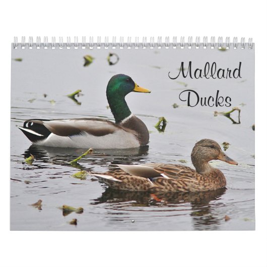 Mallardeenden Kalender (Hoes)