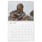 Mallardeenden Kalender (Mar 2027)