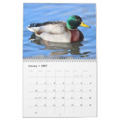 Mallardeenden Kalender (Jan 2027)
