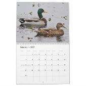 Mallardeenden Kalender (Feb 2027)
