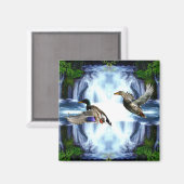 Mallardeenden Magneet (Voorkant / Achterkant)