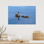 Mallardeenden Poster (Keuken)