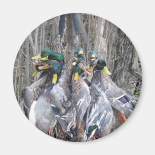 Mallardgrens voor de jacht op eenden magneet