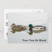 Mallards Aankondigingskaart (Voorkant / Achterkant)