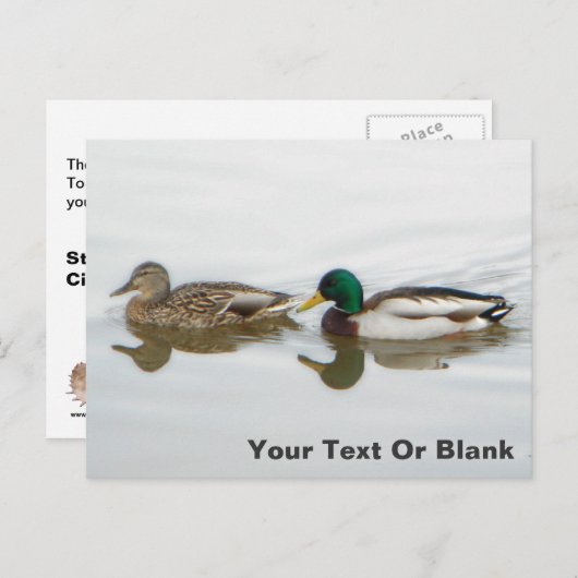 Mallards Aankondigingskaart (Voorkant / Achterkant)