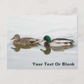 Mallards Aankondigingskaart (Voorkant)