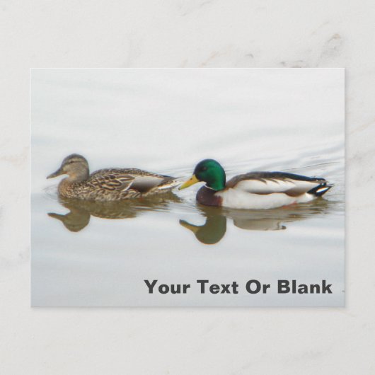 Mallards Aankondigingskaart (Voorkant)