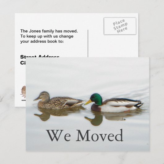 Mallards Aankondigingskaart (Voorkant / Achterkant)