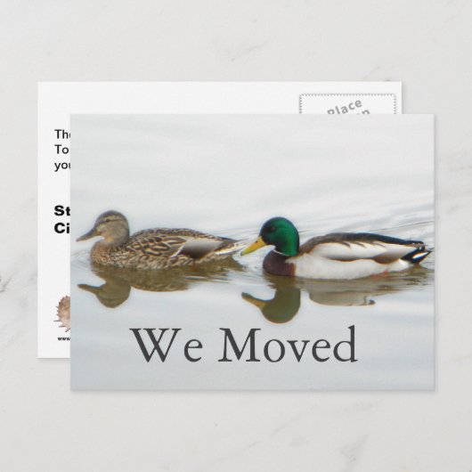 Mallards Aankondigingskaart (Voorkant / Achterkant)