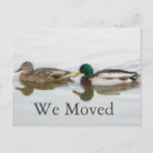 Mallards Aankondigingskaart (Voorkant)