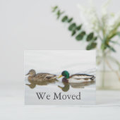 Mallards Aankondigingskaart (Staand voorkant)