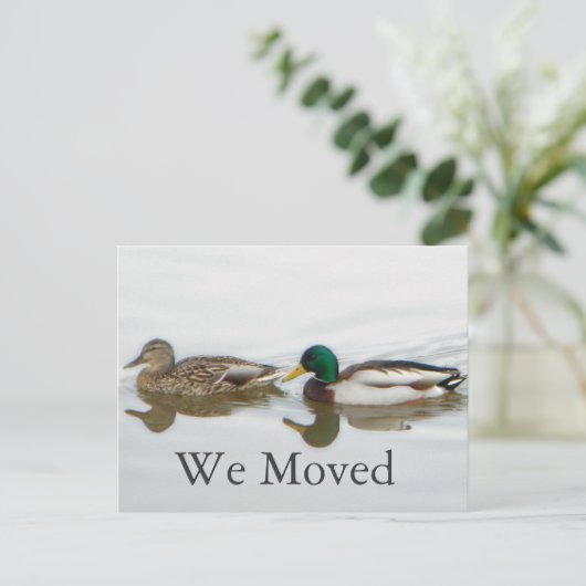 Mallards Aankondigingskaart (Staand voorkant)