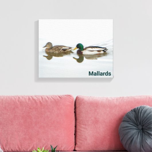 Mallards Canvas Afdruk (Insitu (Woonkamer))